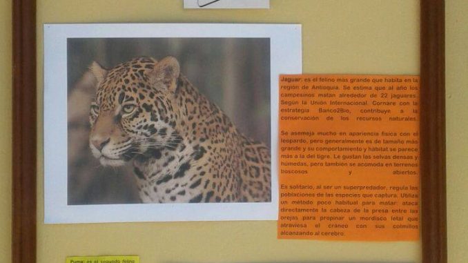 Periódico Mural El Páramo Sonsón Marzo