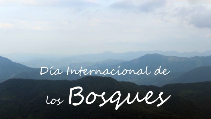 Día-Internacional-de-los-Bosques