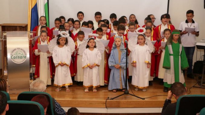 Navidad en Armonía con la Naturaleza