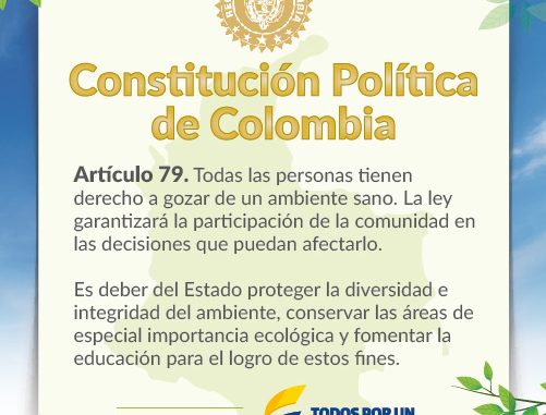 Constitución del 91