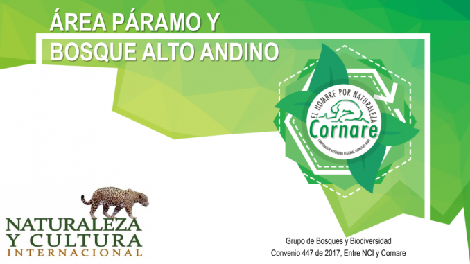 Cornare-