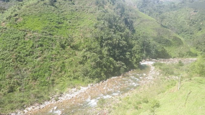 Rio La Paloma