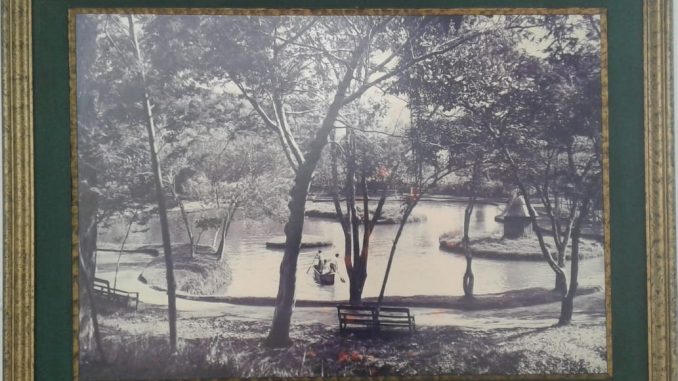 El Lago