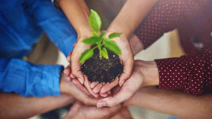 Gestión Ambiental