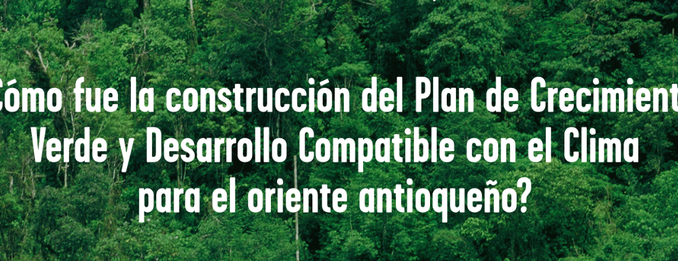 ¿Cómo fue la Construcción del Plan de Crecimiento Verde?
