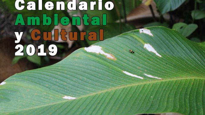 Calendario-Ambiental