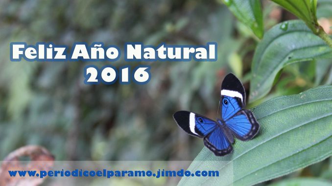 Feliz-Año-Natural-Web-02