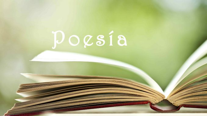 Poesía