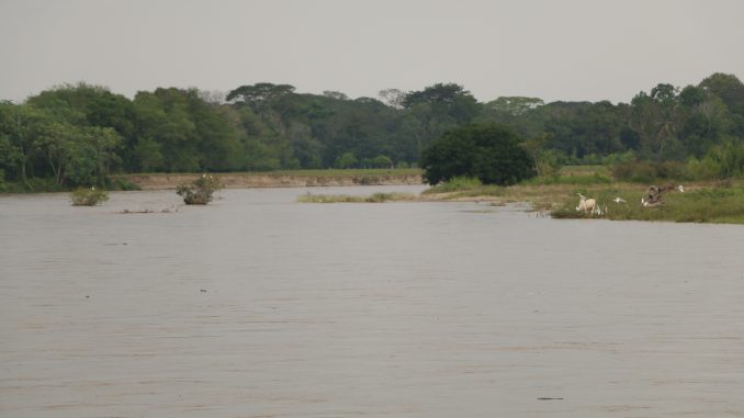 humedal