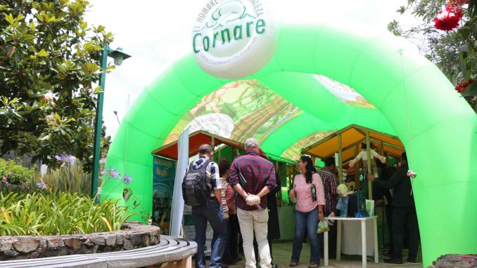 Cornare