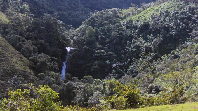 Rio-Verde-Henaos