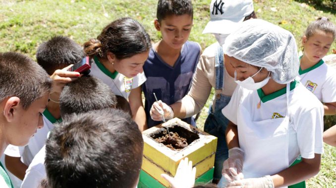 Día-Mundial-de-as-abejas