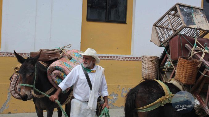 FotoDíaSon