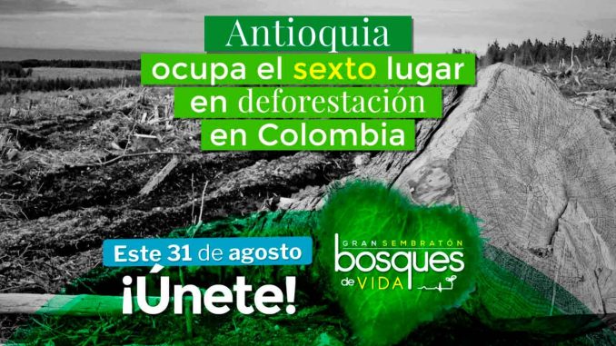 Sembratón-Antioquia
