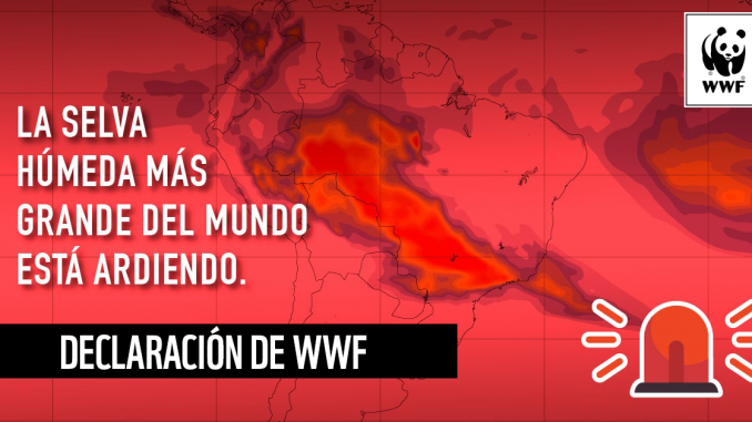 WWF Amazonía