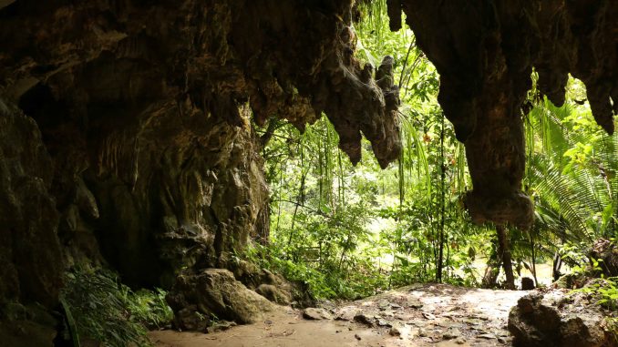 DRMI-Bosques,-Mármoles