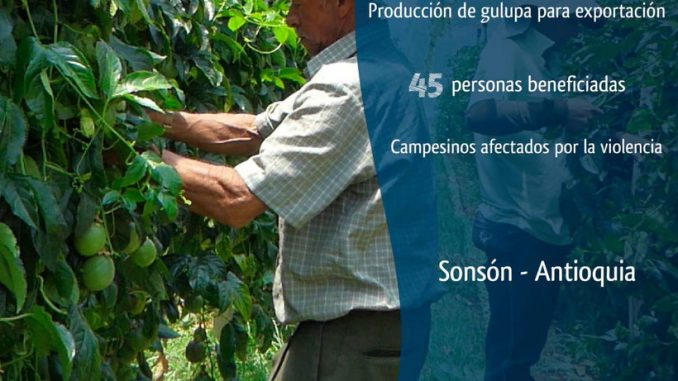 Guluperos Sonsón