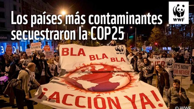 WWF-COP25