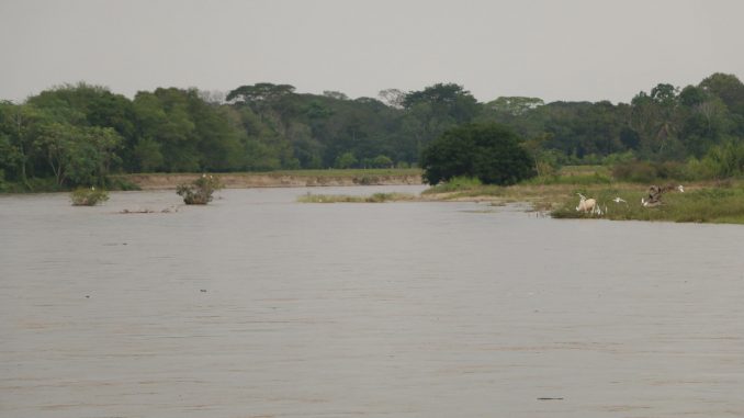 Humedal