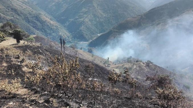 Incendio Abejorral