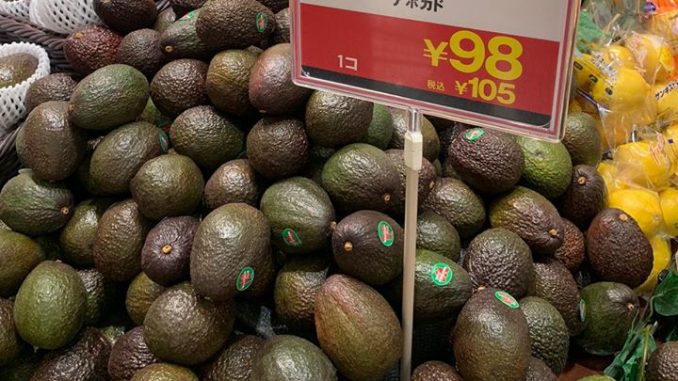 Aguacate Hass