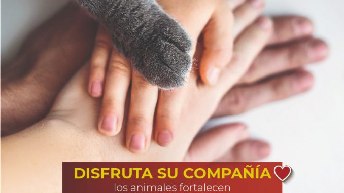 Animales Sintientes