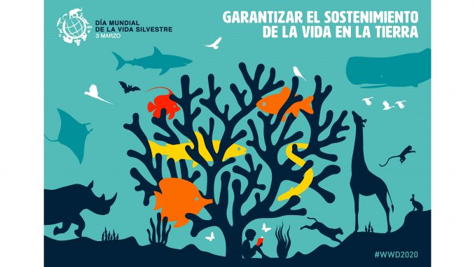Día-de-la-Vida-Silvestre-2020