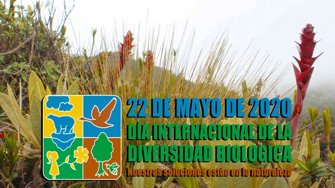 Biodiversidad