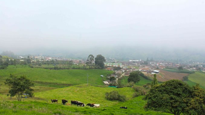 Ganado