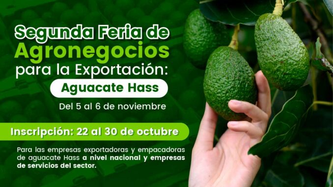 Feria-Aguacate
