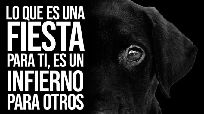 No a la pólvora