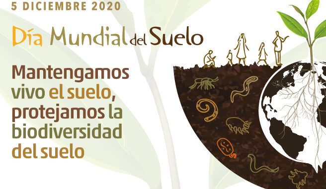 WSD_19_Logo