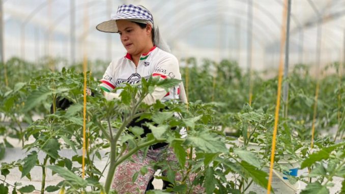 Agricultura