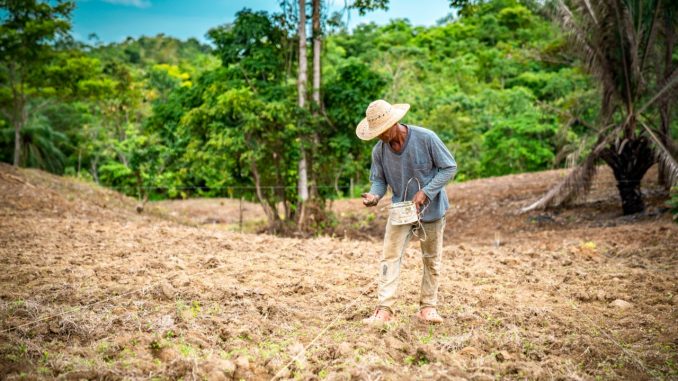 Agricultura