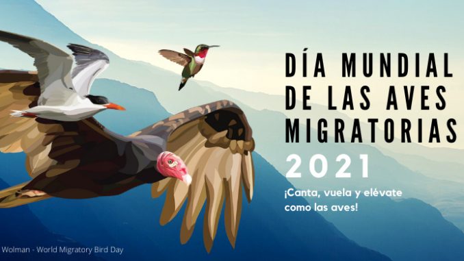 Día Mundial de las Aves Migratorias_
