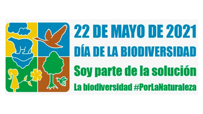 Día de la Diversidad Biológica