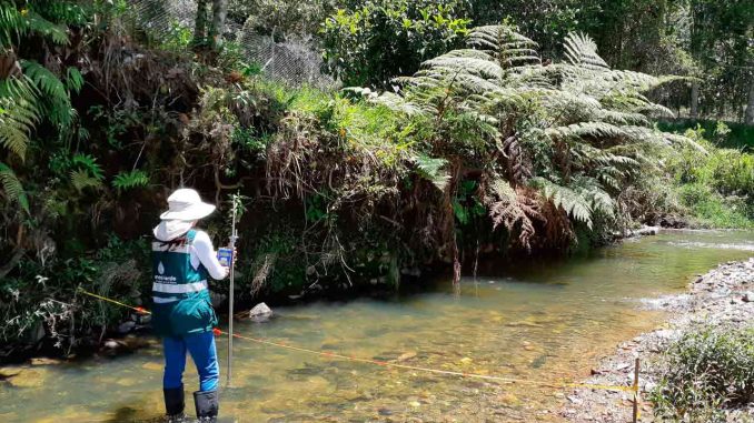 Monitoero-Calidad-del-Agua