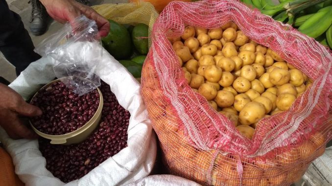 Mercados Campesinos