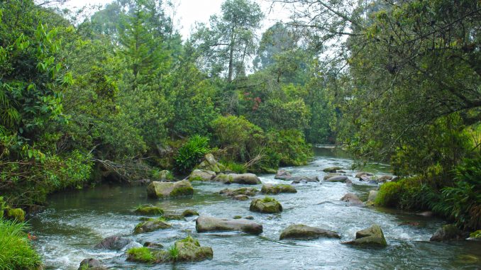 Río-Sonsón
