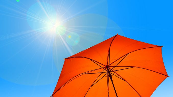 Parasol