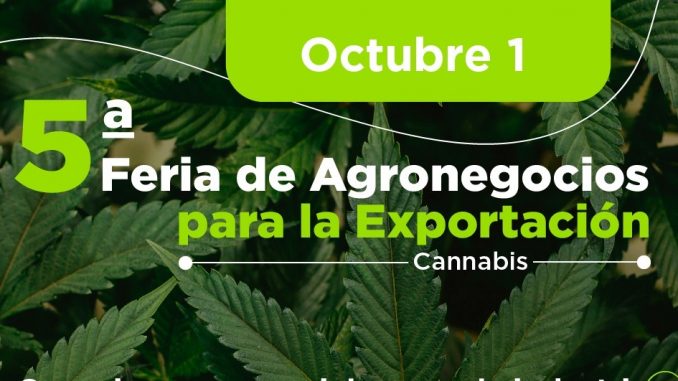 Feria Agronegocios