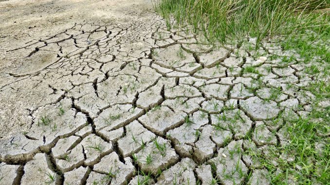 Cambio Climático (2)