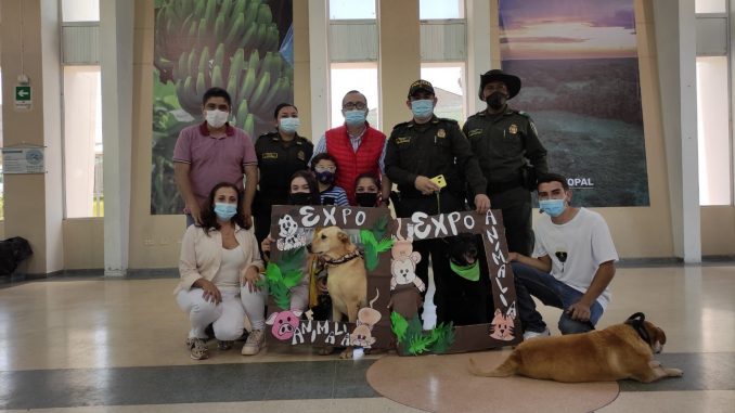 ExpoAnimalia