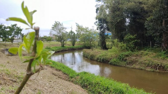 Río Negro