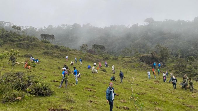 Reforestación Páramo de Sonsón
