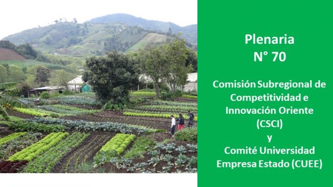 Índice Municipal de Competitividad de Antioquia