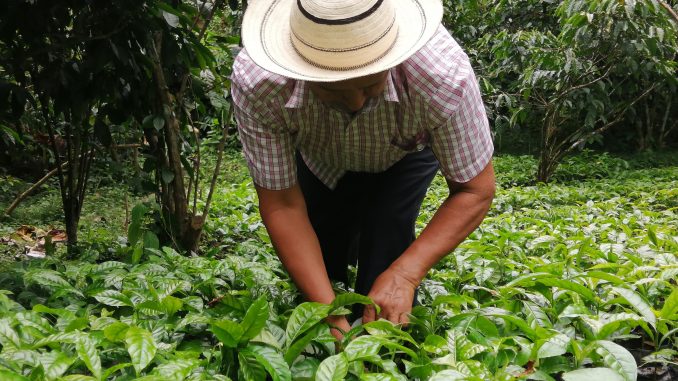 Agricultor