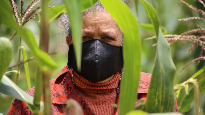 Campesinos beneficiarios Rutas de Siembra