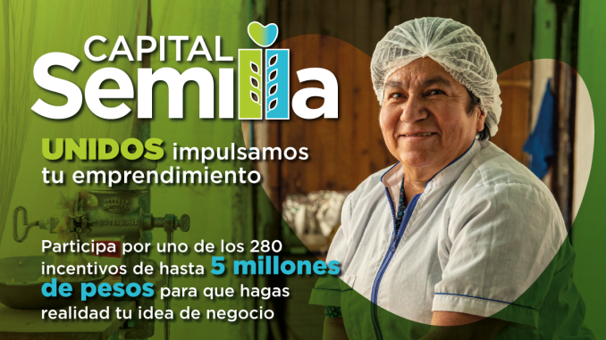 Capital Semilla