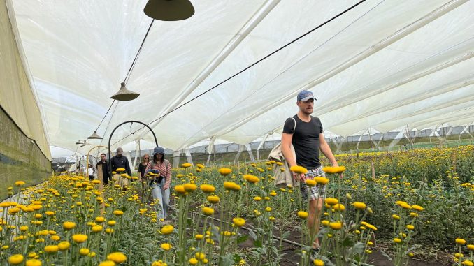 Comisión Noruega Jardín Botánico de Oriente